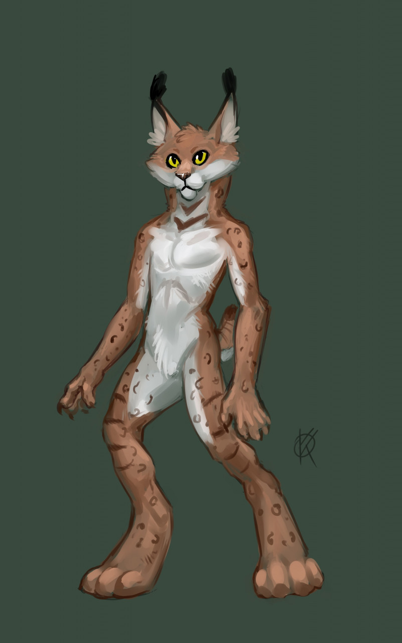 Anthro lynx